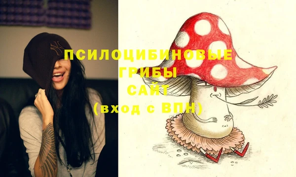 хмурый Богородицк