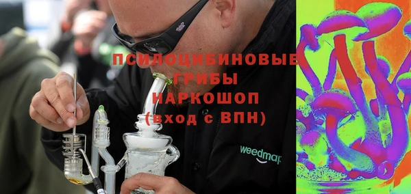 хмурый Богородицк